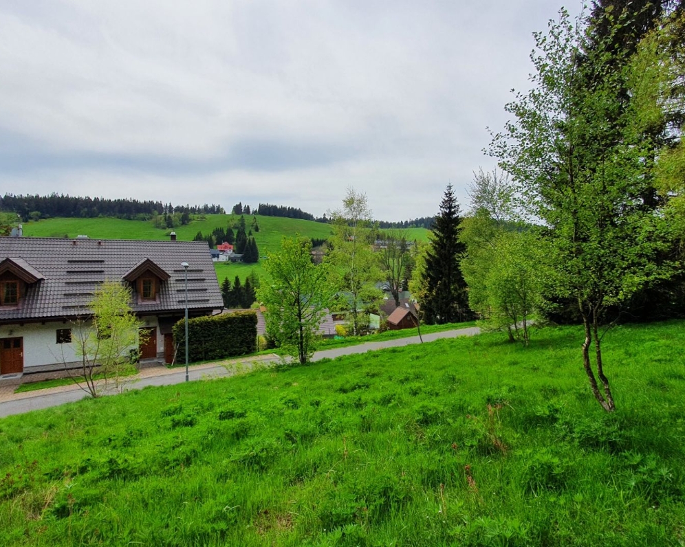 Prodej louky  Bedřichov v Jizerských horách 2438 m²